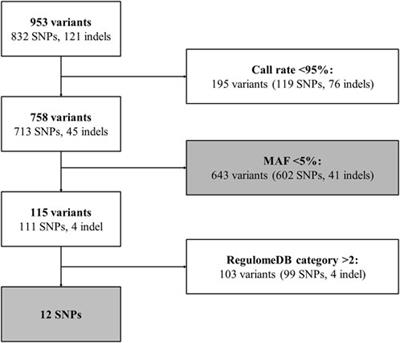 The association of ARRB1 polymorphisms with response to antidepressant treatment in depressed patients